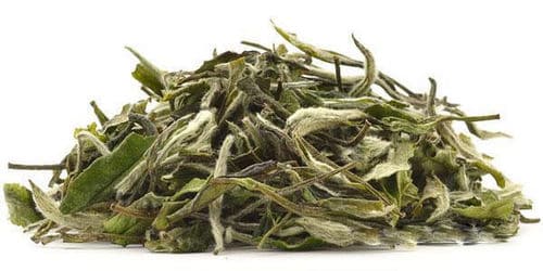 Bai Mudan tea