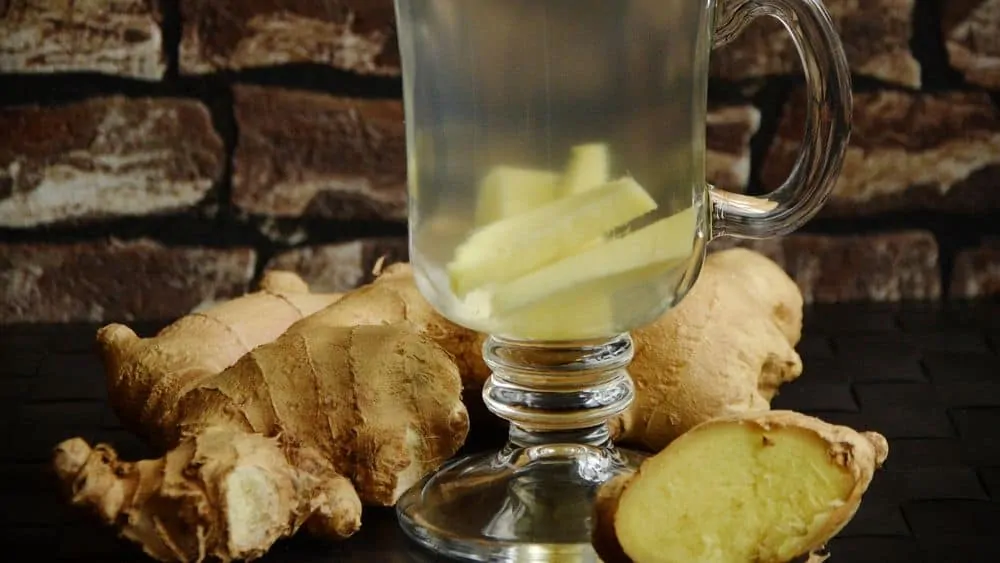 ginger tea can cure nausea