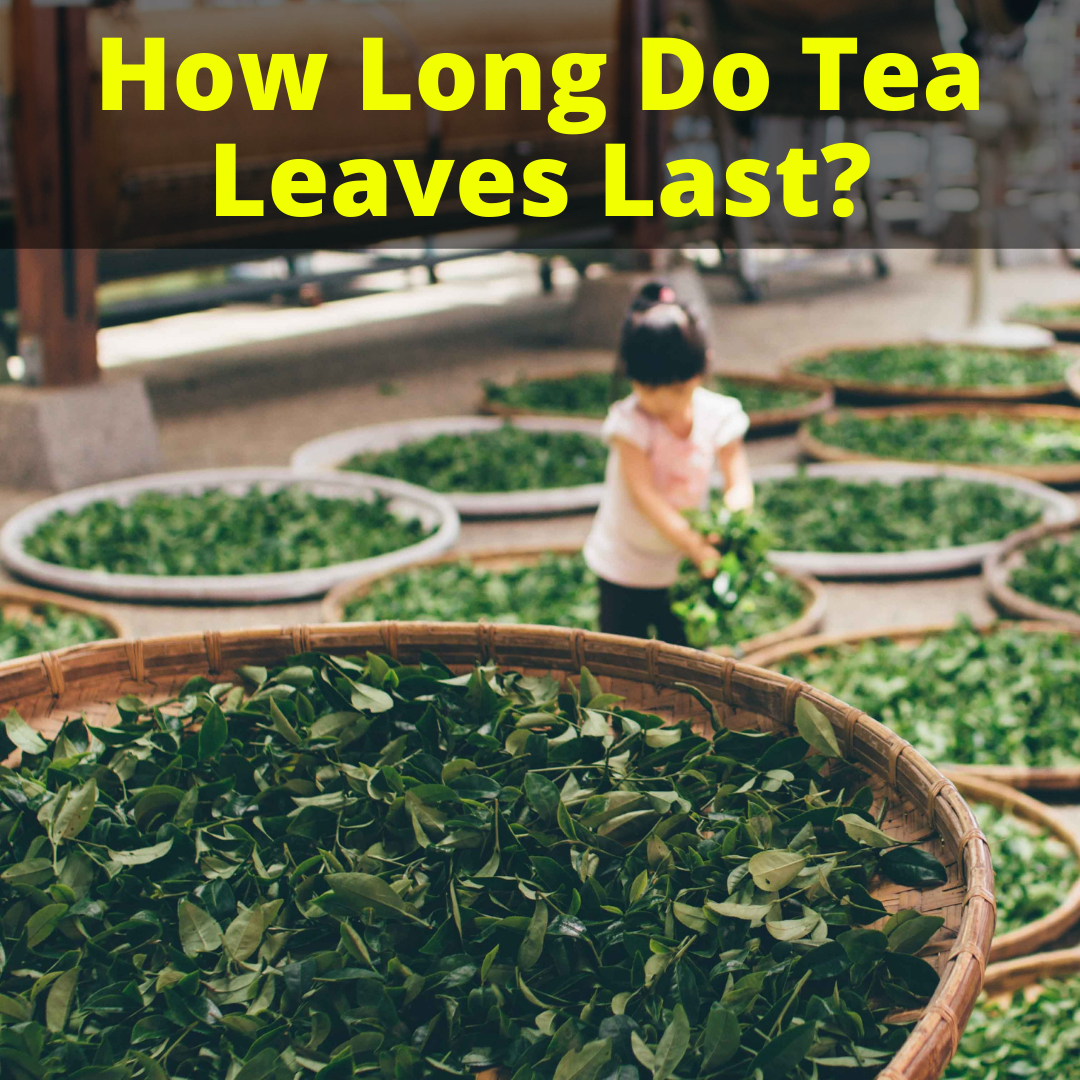 How Long Do Tea Leaves Last