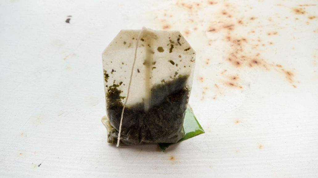 are tea bags biodegradable