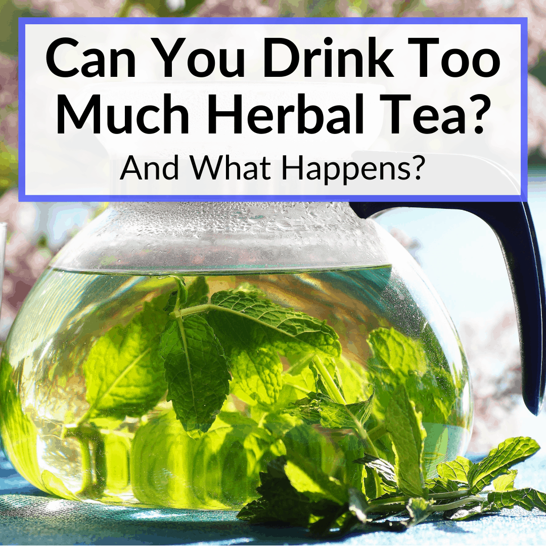 Can You Drink Too Much Herbal Tea