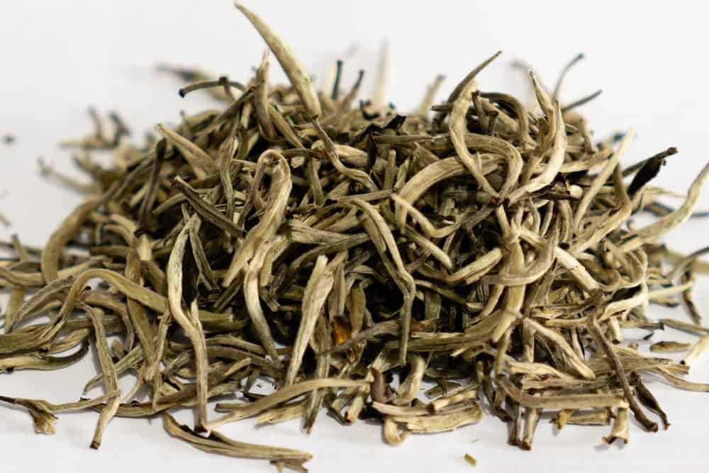 White hair silver needle tea leaves