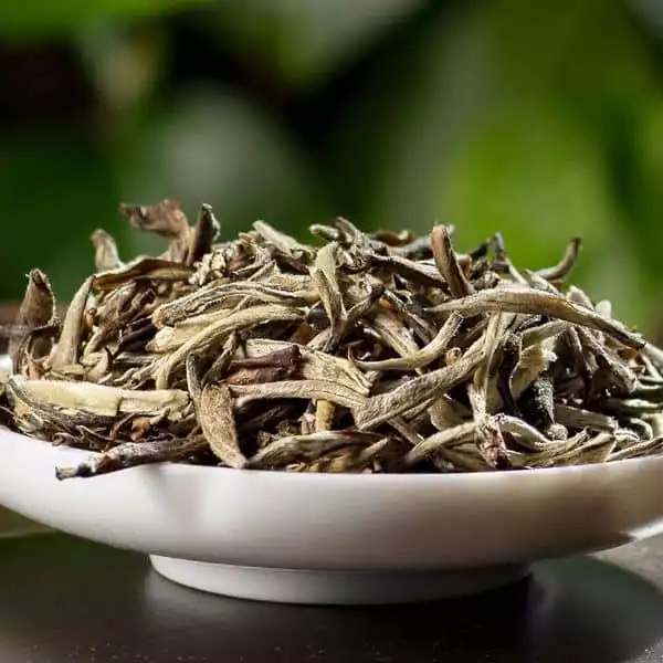 Teavivre Jasmine Silver Needle White Tea (Mo Li Yin Zhen)