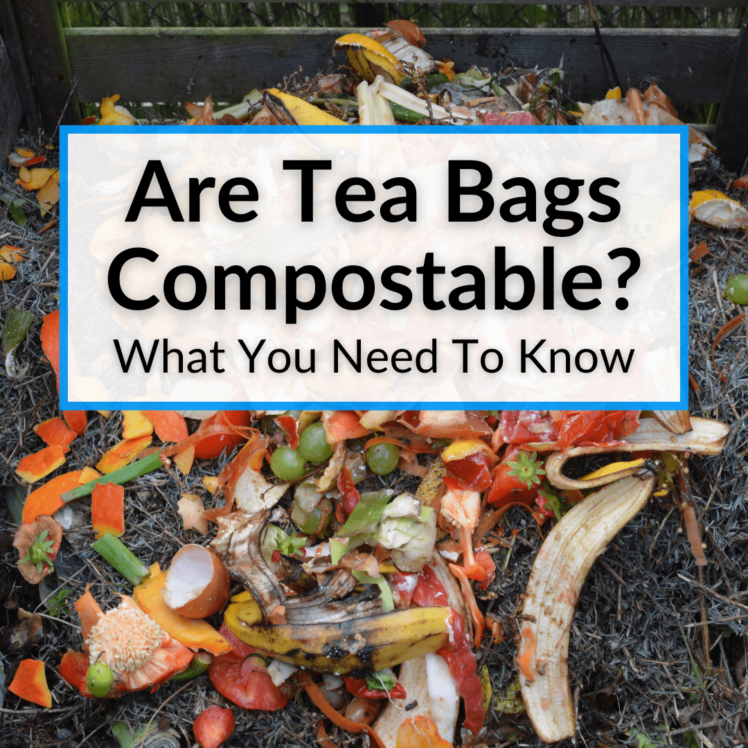 Are Tea Bags Compostable